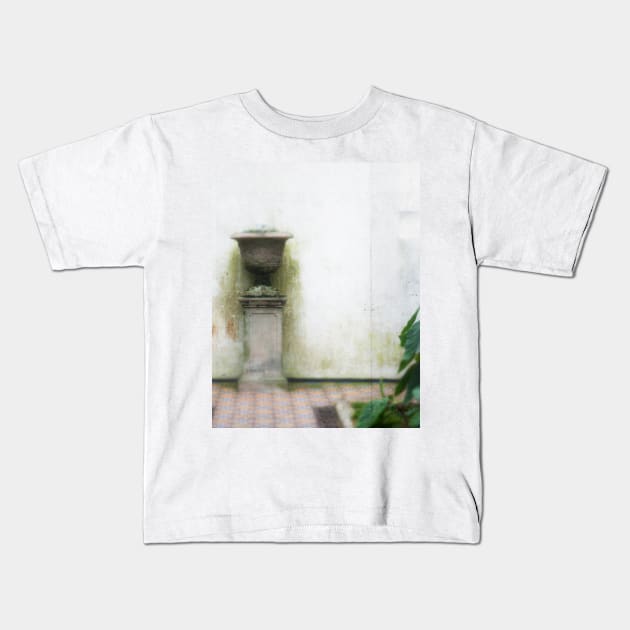 In a Victorian Conservatory 2 Kids T-Shirt by rosedew